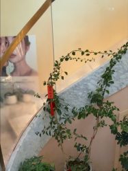 -头道汤·茜曼缇娜