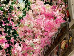 -深圳国际园林花卉博览园