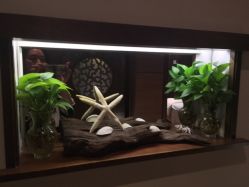 点击看大图 -艾维庭美学SPA