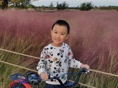 -汉长安城未央宫国家考古遗址公园