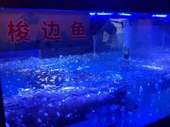 -匠岳·王宝器麻椒鱼(会展中心店)