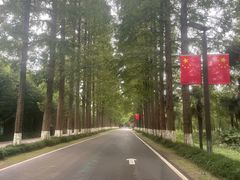 -黄海国家森林公园