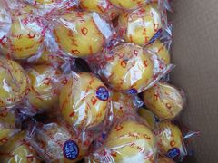 -岳各庄批发市场(西四环中路店)