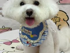 -宠爱国际动物医院·疑难骨科·心肾内科·皮肤科(太阳宫店)