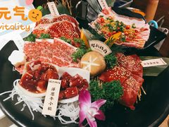-猫爪爪原切自助烤肉(观音桥阳光世纪店)