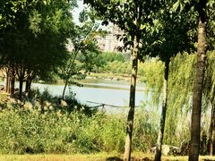 -马家湾湿地公园