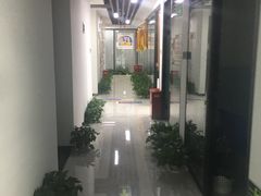-新航道雅思托福·留学·考研培训(人民广场校区)