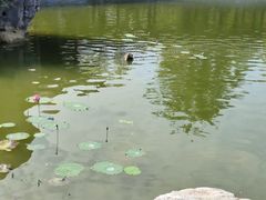 -南阳卧龙岗武侯祠