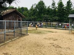 -上方山森林动物世界
