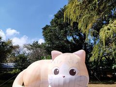 -广州兰圃