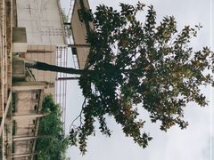 -观潮胜地公园