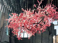 -大渔·观筵(三里屯太古里店)