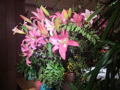 -春暖花开(西溪店)