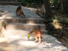 -黔灵山公园
