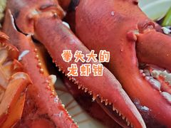 -强记龙虾钳(定安里店)