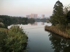 -眉山湿地公园(东坡区)