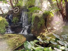 -Chom Cafe and Restaurant