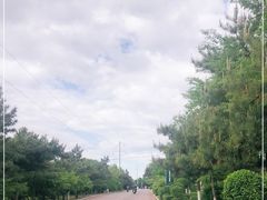 -成吉思汗庙