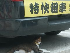 -1点点(东泰禾店)