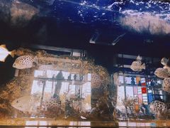 -暹罗酒肆泰餐厅酒吧