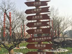 -秀丽东方
