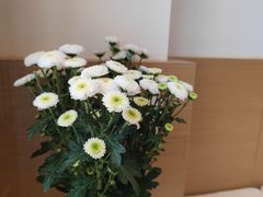 -SLOWOOD 咖啡餐食