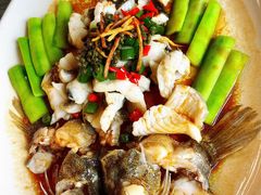 青花椒蒸笋壳鱼-猪肉婆私房菜(容桂总店)
