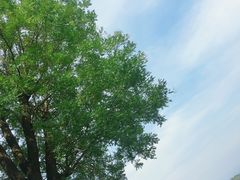 -灞河西岸滨河公园