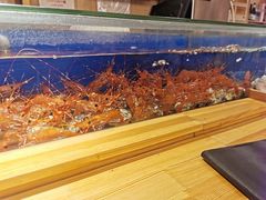 -鲔屋寿喜烧