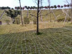 -宝山国家矿山公园