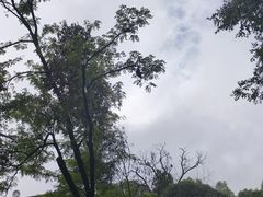 -花溪公园