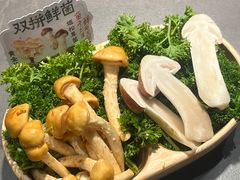 -楠小云·云南鲜菌·鲜牛自助火锅(九眼桥店)