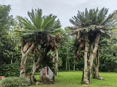 -中国科学院西双版纳热带植物园