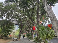 -紫阳海鲜楼·传承闽味(长乐路总店)