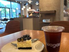 -Wagas沃歌斯(汇智店)