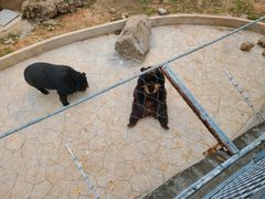 -无锡动物园·太湖欢乐园