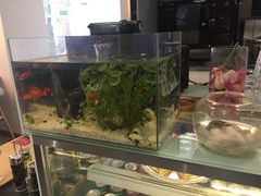 -威克特披萨汉堡