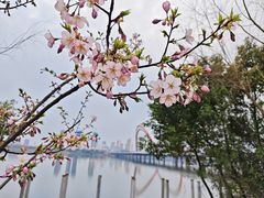 -艾溪湖湿地公园