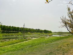 -洨河生态公园