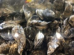 -蚝抵食·湛江生蚝(湾北路店)