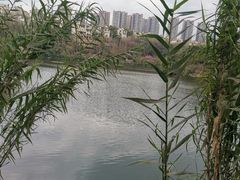 -重庆彩云湖湿地公园