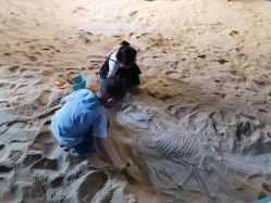 -恐龙探索乐园(磁器口店)