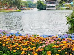 -荔湾湖公园