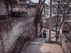 -菜园坝水果市场