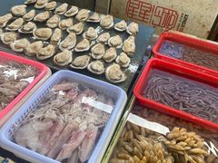 -南沙十九涌渔人码头-南门