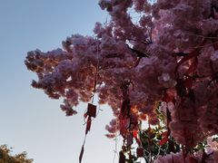 -清明上河园
