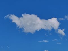 -桑吉林新派藏餐·汤锅·川菜