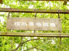 -天适樱花悠乐园