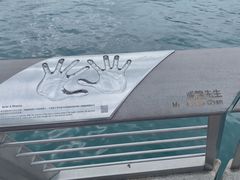 -星光大道