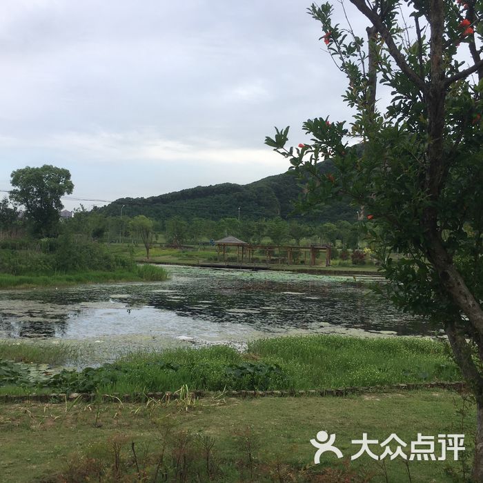 锡山凤凰山湿地公园图片